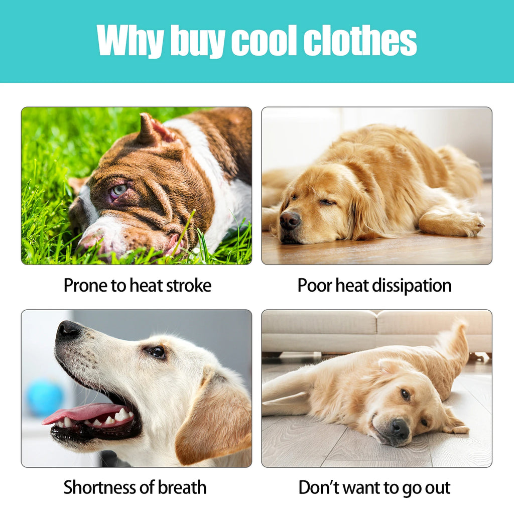 Cooling Vest - Breathable Dog Vest for Hot Summer Days - Adjustable & Lightweight Cooling Jacket with Reflective Strips