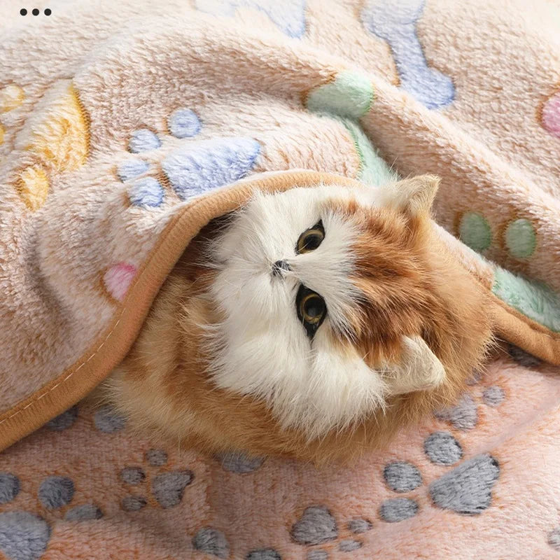 High Quality Pet Blanket With Print