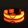 LED Safety Night Leash