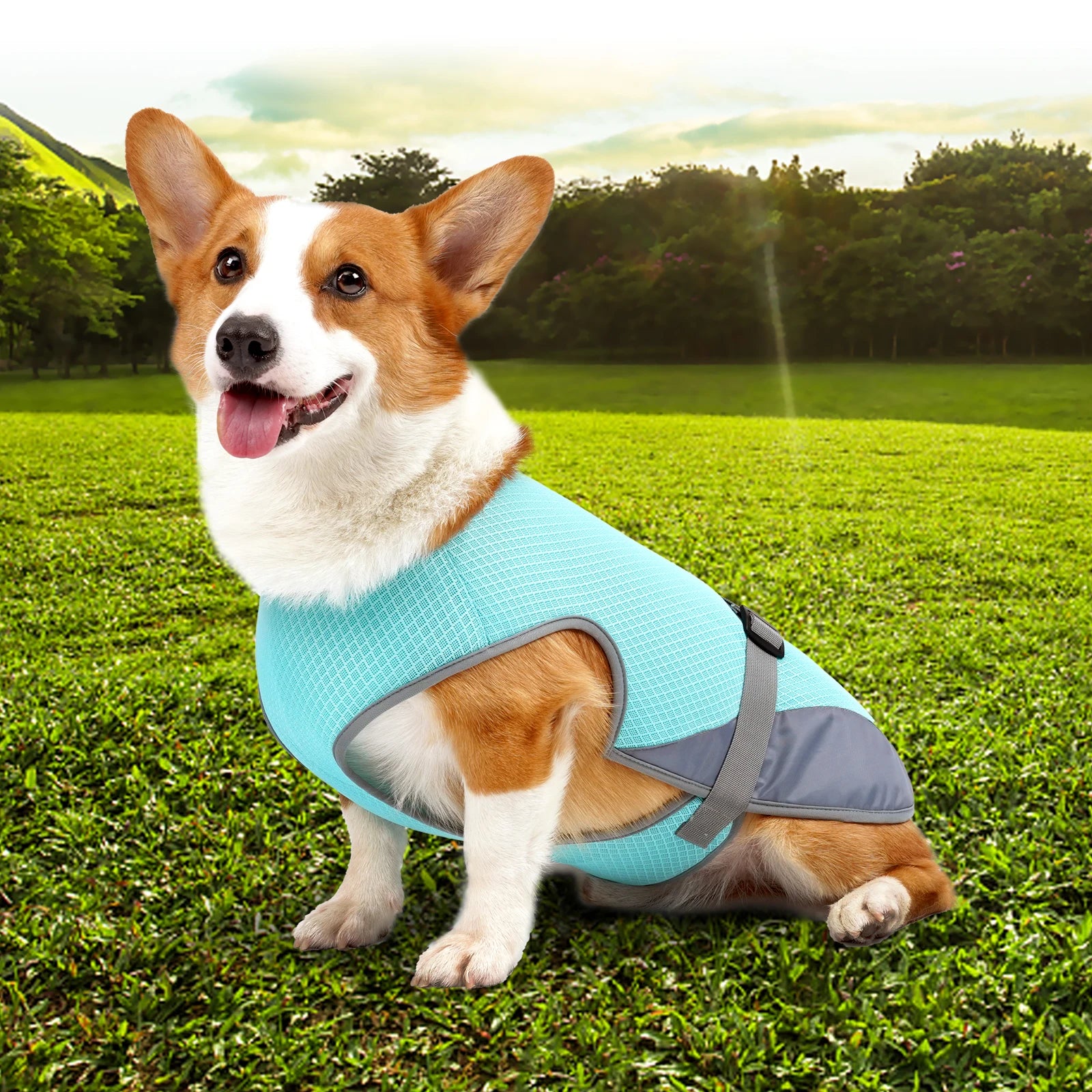 Cooling Vest - Breathable Dog Vest for Hot Summer Days - Adjustable & Lightweight Cooling Jacket with Reflective Strips