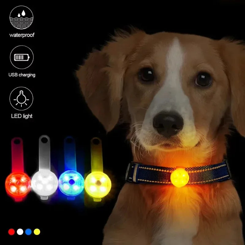 USB Rechargeable Waterproof LED Dog Collar High Brightness Safety Light for Pets