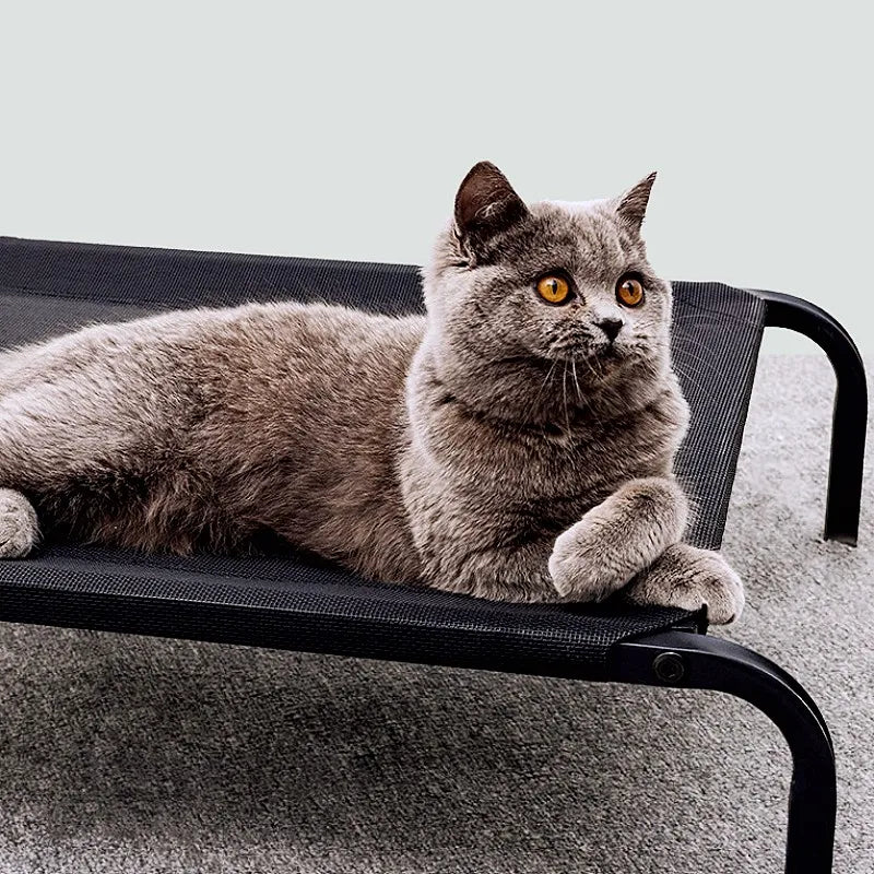 Dog Beds Anti-moisturizing Dog Bed Indoor Summer Dogs Beds Iron Frame Camping Bed for Dogs Traveling Kennel Mats Pet Products