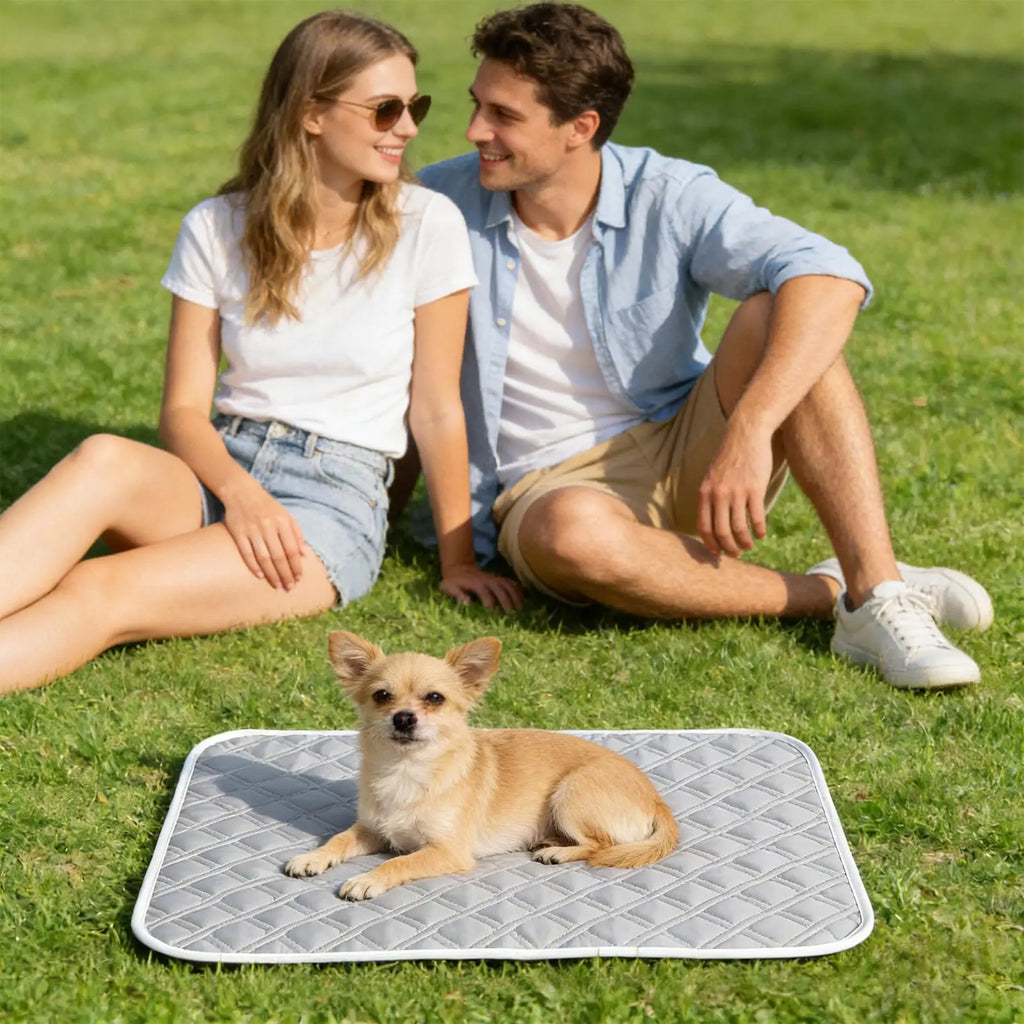 Pet Cooling Pad 45x35cm Dog Sweat Sleeping Rug Soft Rest Mat Sleep Bedding Pet Supplies For Small Medium Large Dog Kitten Crate