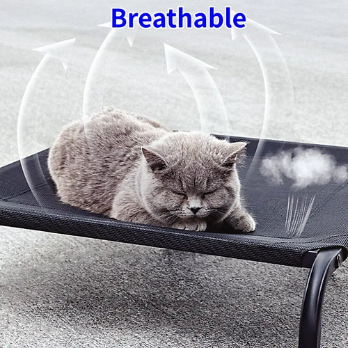 Dog Beds Anti-moisturizing Dog Bed Indoor Summer Dogs Beds Iron Frame Camping Bed for Dogs Traveling Kennel Mats Pet Products